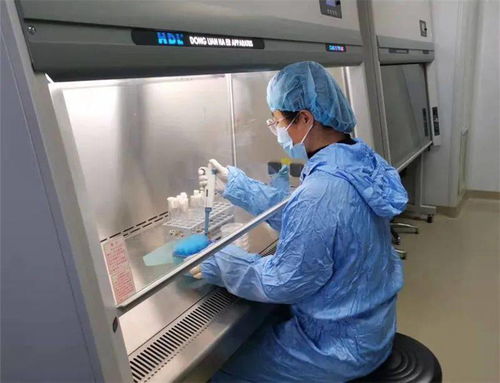 食品科学与检测实验中心顺利通过病原微生物实验室备案，开启微生物检测新篇章