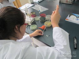 第11期食品微生物检测实训在烟台顺利开展 一线聚焦与精彩实录