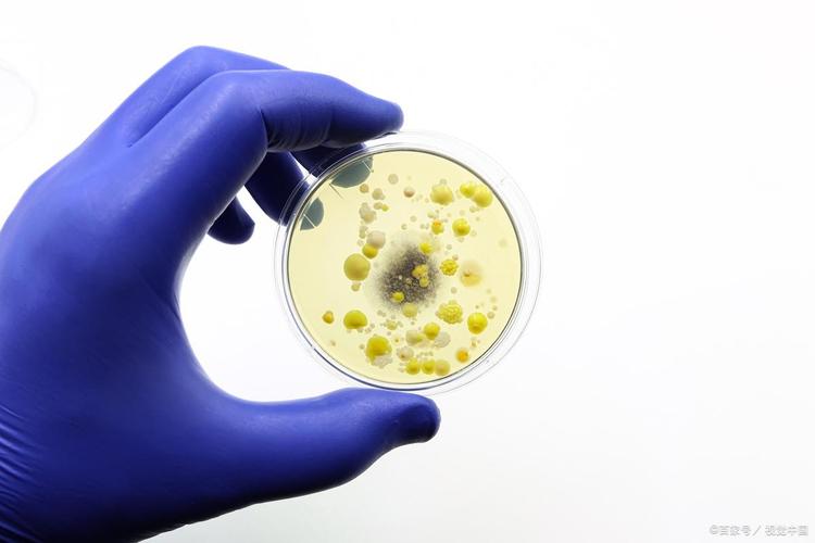 检测的重要性确保产品安全性:微生物限度检测是确保产品不会对消费者